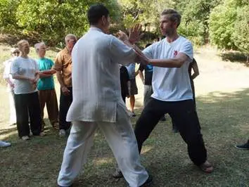 Taiji: basic movement patterns and body coherence